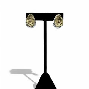 Aretes Bicolor